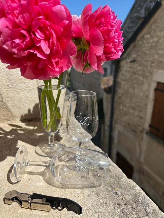 La Maison D'Alienor - Gites De Caractere A Chablis - 89 Eksteriør bilde