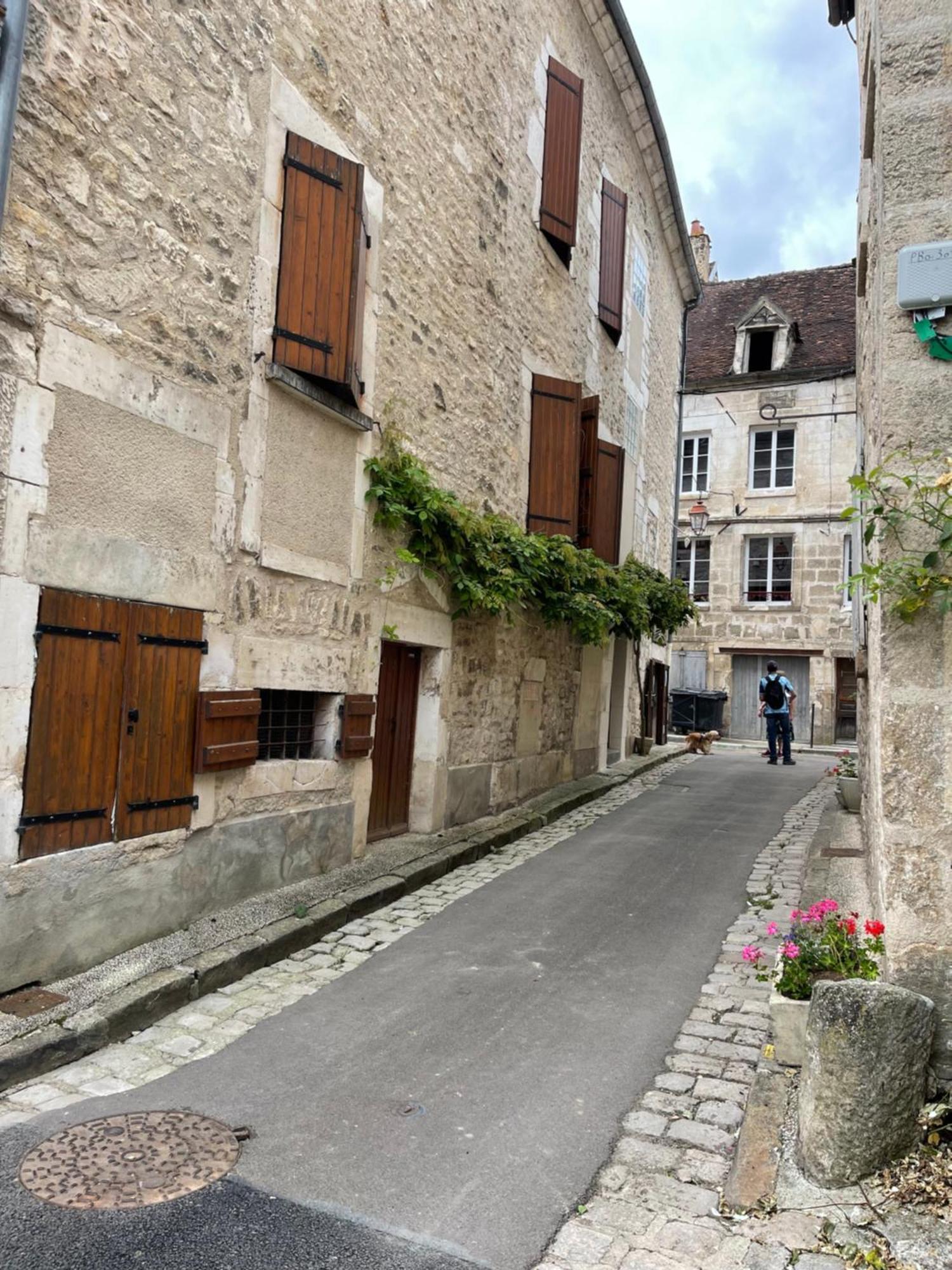 La Maison D'Alienor - Gites De Caractere A Chablis - 89 Eksteriør bilde
